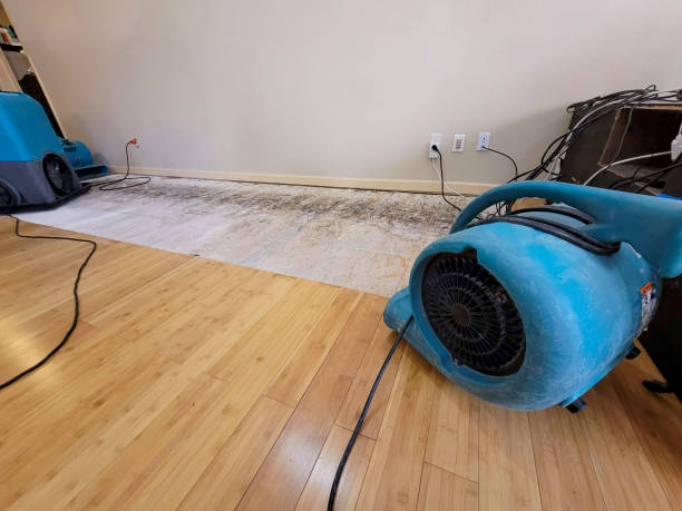 Professional Basement Flood Cleanup technician working in Southold, NY